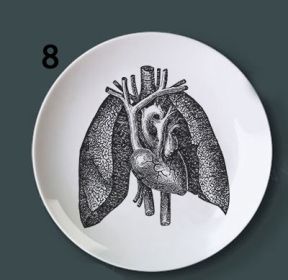 Human bone structure decoration plate (Option: 8style-7 inches)