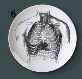 Human bone structure decoration plate (Option: 6style-8 inches)
